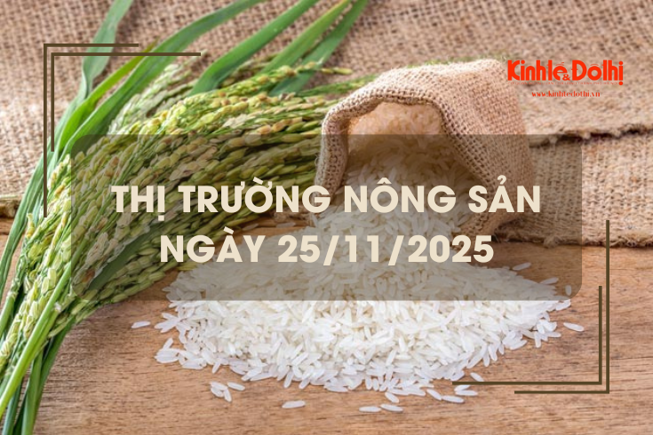 Thị trường nông sản ngày 25/11: thương lái chậm mua cầm chừng, giá vững