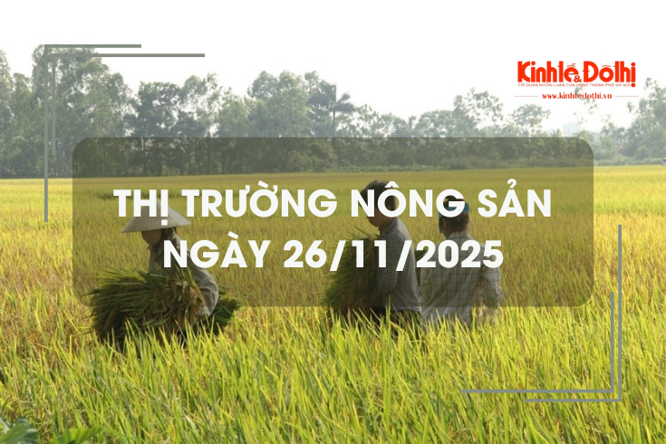 Thị trường nông sản ngày 26/11: lượng lúa tại Tây Ninh giảm dần