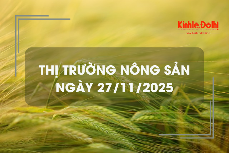 Thị trường nông sản ngày 27/11: giá lúa tại Đồng Tháp có xu hướng tăng nhẹ