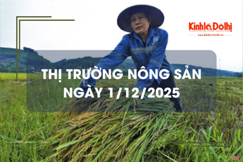 Thị trường nông sản ngày 1/12: giao dịch mua bán vắng, giá vững