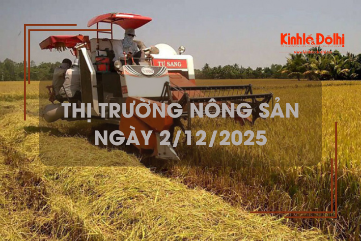 Thị trường nông sản ngày 2/12: thị trường khởi sắc, lúa tươi có xu hướng tăng
