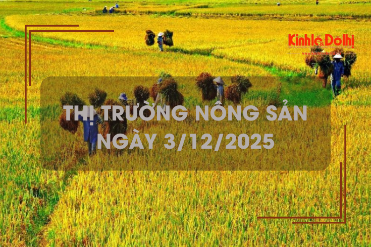 Thị trường nông sản ngày 3/12: lúa tươi bật tăng