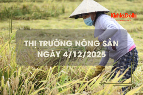 Thị trường nông sản ngày 4/12: nhu cầu mua lúa thơm dẻo khá