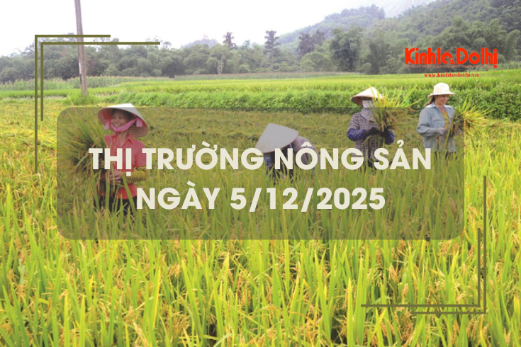 Thị trường nông sản ngày 5/12: giá gạo giảm 100 - 350 đồng/kg