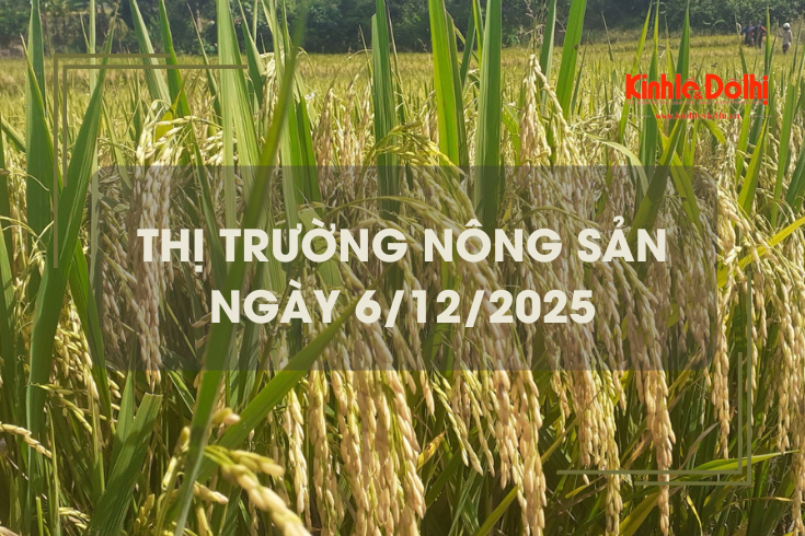 Thị trường nông sản ngày 6/12: giá gạo giảm nhẹ