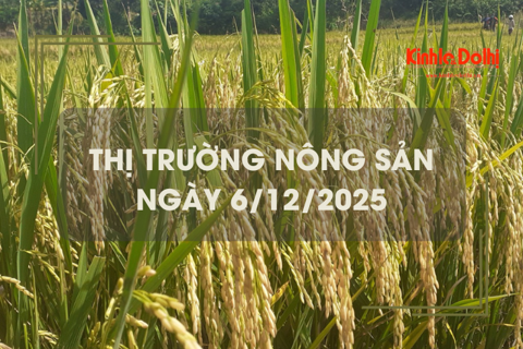 Thị trường nông sản ngày 6/12: giá gạo giảm nhẹ