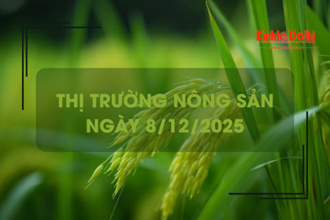 Thị trường nông sản ngày 8/12: lúa gạo vững giá
