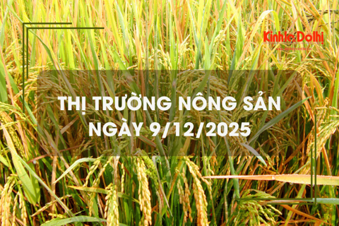 Thị trường nông sản ngày 9/12: giá gạo tăng nhẹ