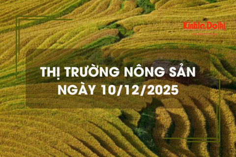 Thị trường nông sản ngày 10/12: lúa tươi bật tăng