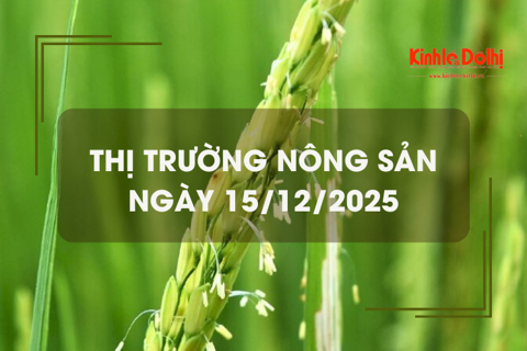 Thị trường nông sản ngày 15/12: giao dịch mua bán vắng, giá vững