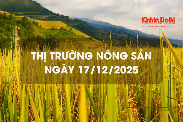 Thị trường nông sản ngày 17/12: lúa tươi giảm nhẹ