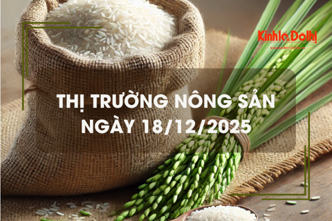 Thị trường nông sản ngày 18/12: giá lúa tăng nhẹ
