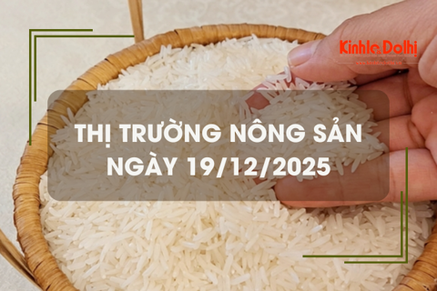 Thị trường nông sản ngày 19/12: giá gạo giảm nhẹ