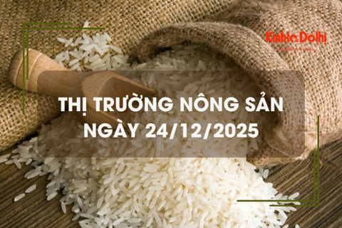 Thị trường nông sản ngày 24/12: nguồn lúa còn ít, giá chững