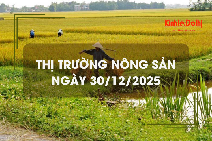 Thị trường nông sản ngày 30/12: gạo Nàng Nhen neo cao