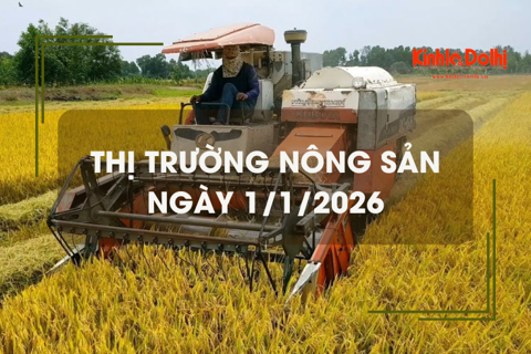 Thị trường nông sản ngày 1/1: nguồn lúa cuối vụ còn ít
