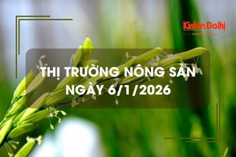 Thị trường nông sản ngày 6/1: giá gạo tăng nhẹ