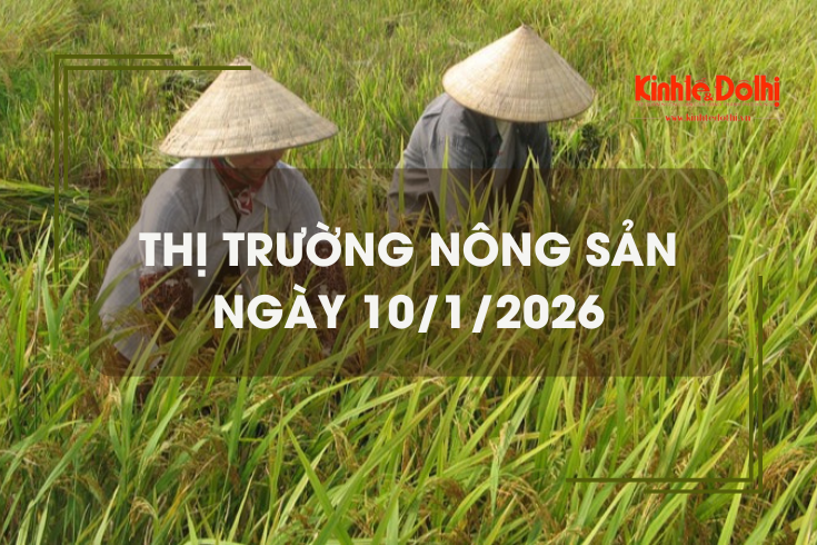 Thị trường nông sản ngày 10/1: gạo thơm dẻo neo cao