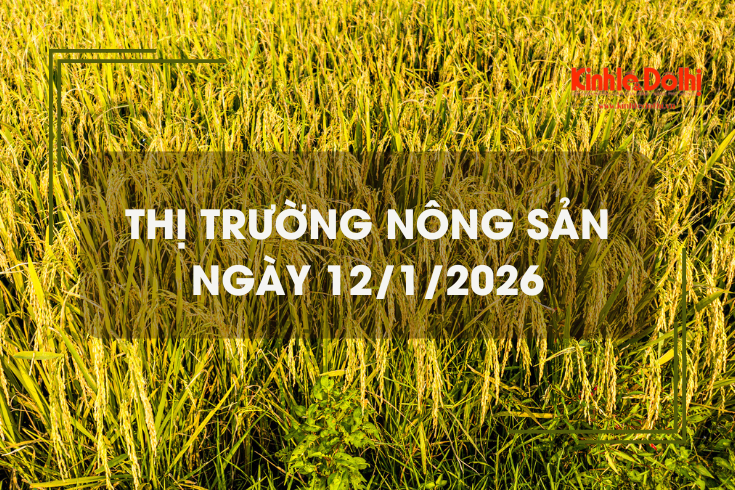 Thị trường nông sản ngày 12/1: gạo Jasmine neo cao