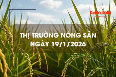 Thị trường nông sản ngày 19/1: gạo thành phẩm neo cao