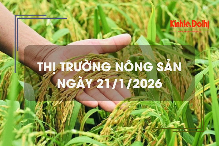 Thị trường nông sản ngày 21/1: giao dịch khởi sắc