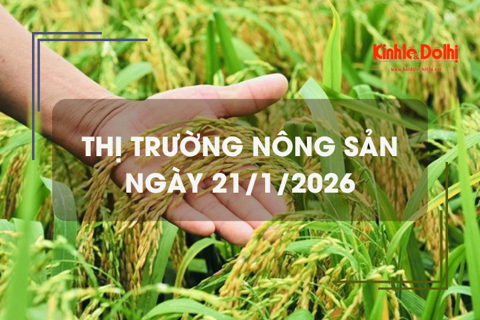 Thị trường nông sản ngày 21/1: giao dịch khởi sắc