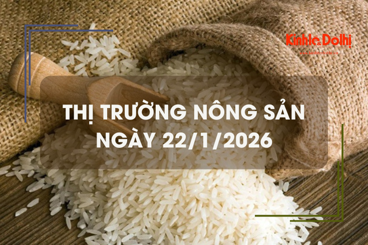 Thị trường nông sản ngày 22/1/2026: gạo xuất khẩu tiếp đà tăng