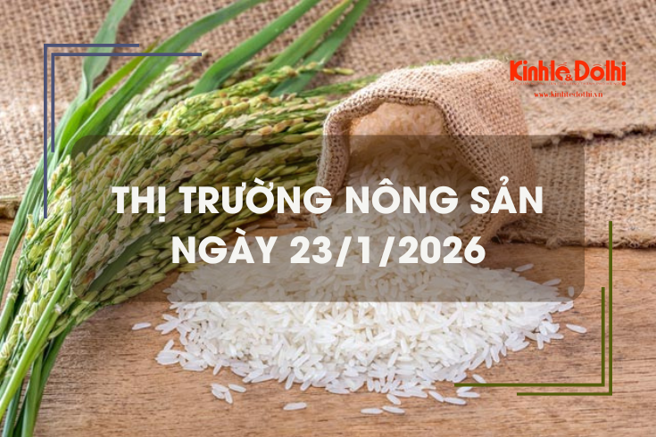 Thị trường nông sản ngày 23/1/2026: giao dịch lúa Đông Xuân chậm