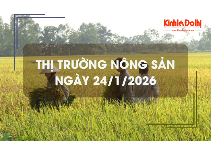Thị trường nông sản ngày 24/1: gạo thơm dẻo neo cao