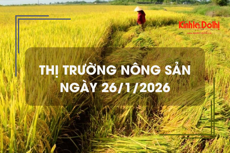 Thị trường nông sản ngày 26/1: giao dịch mua bán ít