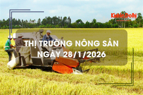 Thị trường nông sản ngày 28/1/2026: giao dịch mua bán lúa Đông Xuân ít