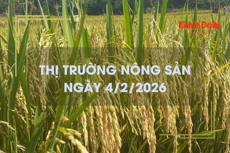 Thị trường nông sản ngày 4/2/2026: giao dịch chậm cận Tết