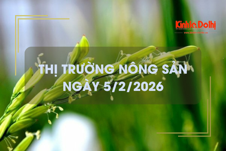Thị trường nông sản ngày 5/2/2026: giá gạo tăng, lúa tươi giảm