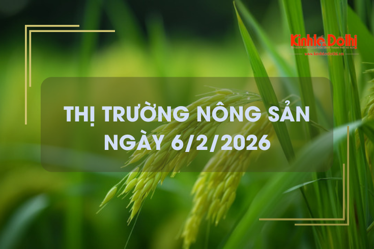 Thị trường nông sản ngày 6/2/2026: lúa thơm nông dân chào nhích