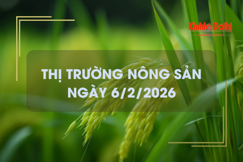 Thị trường nông sản ngày 6/2/2026: lúa thơm nông dân chào nhích