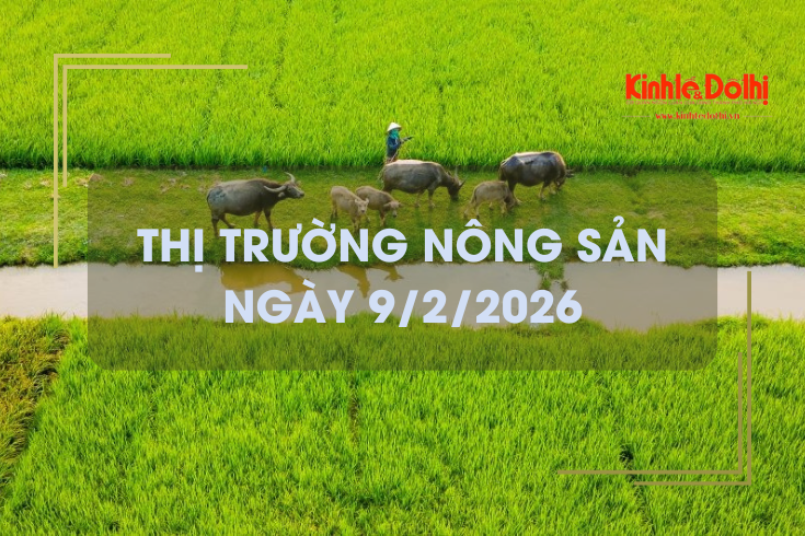 Thị trường nông sản ngày 9/2: thị trường cận tết giao dịch chậm