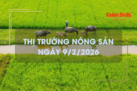 Thị trường nông sản ngày 9/2: thị trường cận tết giao dịch chậm