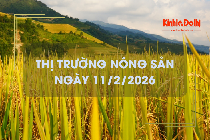Thị trường nông sản ngày 11/2/2026: mua bán cầm chừng, giá ổn định