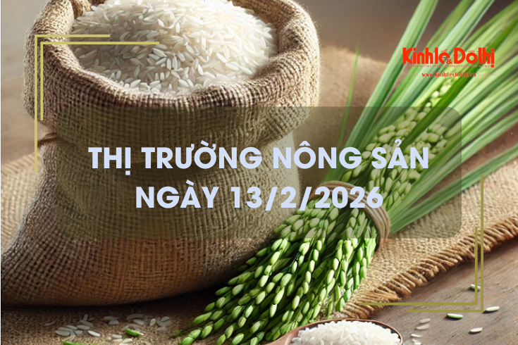 Thị trường nông sản ngày 13/2/2026: gạo thơm xuất khẩu 415-430 USD/tấn