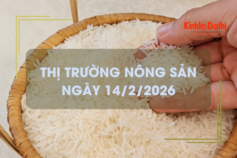 Thị trường nông sản ngày 14/2/2026: cận Tết thị trường giao dịch chậm