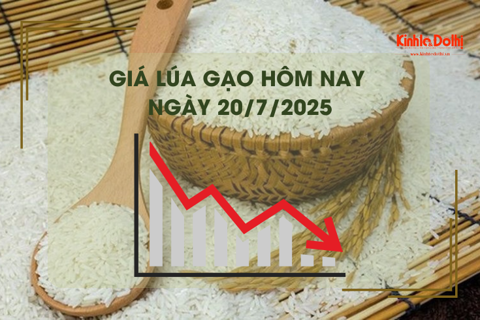 Giá lúa gạo hôm nay 20/7: ít biến động