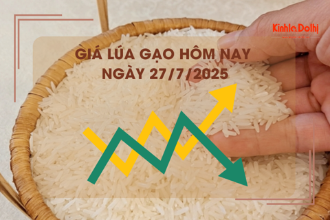 Giá lúa gạo hôm nay ngày 27/7: gạo nguyên liệu tăng nhẹ