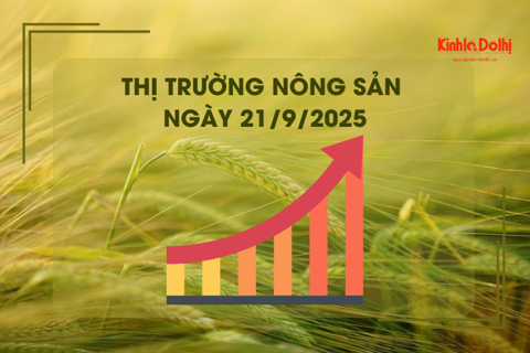Thị trường nông sản ngày 21/9: gạo xuất khẩu tăng mạnh