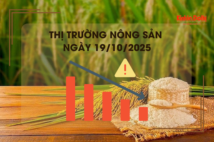 Thị trường nông sản ngày 19/10: gạo xuất khẩu giảm nhẹ