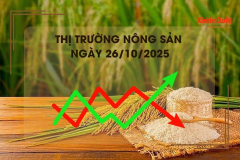 Thị trường nông sản ngày 26/10: giao dịch cầm chừng, giá lúa gạo bình ổn