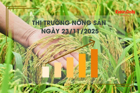 Thị trường nông sản ngày 23/11: gạo xuất khẩu Việt Nam giảm mạnh, chạm đáy 5 năm