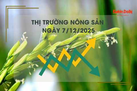 Thị trường nông sản ngày 7/12: lúa Đài Thơm neo cao