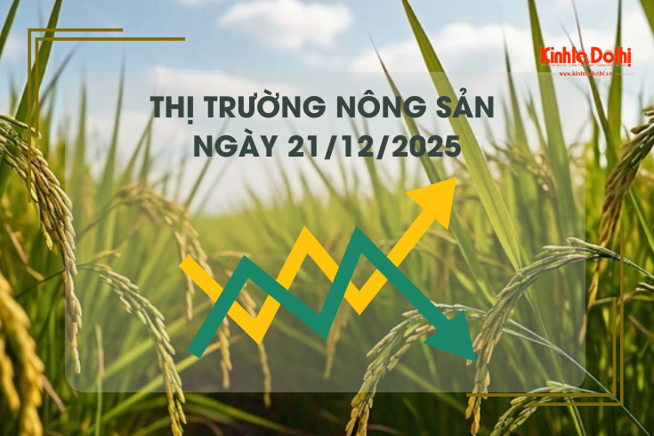 Thị trường nông sản ngày 21/12: nguồn cung ổn định, sức mua chậm