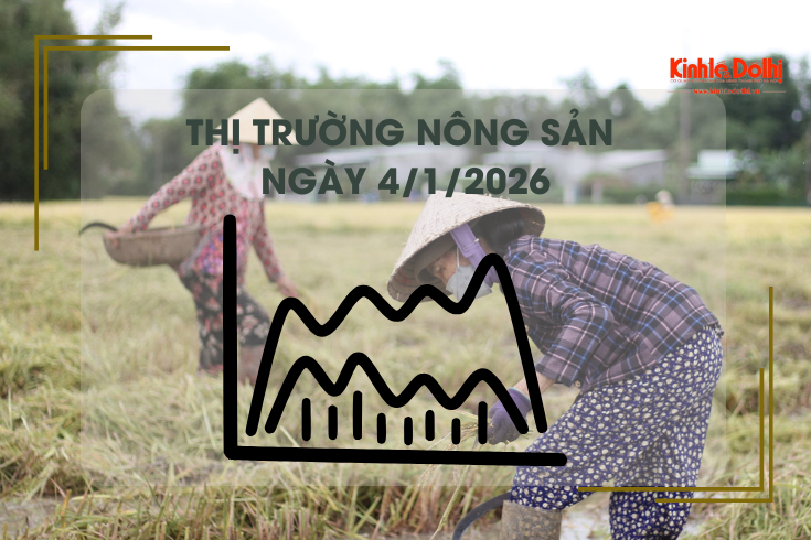 Thị trường nông sản 4/1: gạo OM 5451 ổn định mức 8.150 đồng/kg