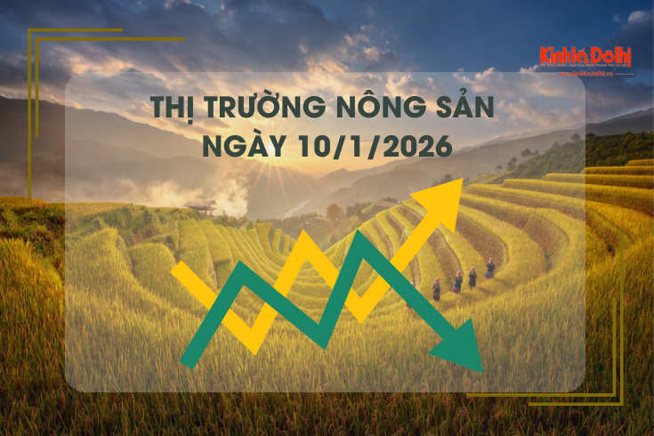 Thị trường nông sản ngày 11/1: giá gạo giảm nhẹ